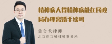 精神病人得精神病能在民政局办理离婚手续吗