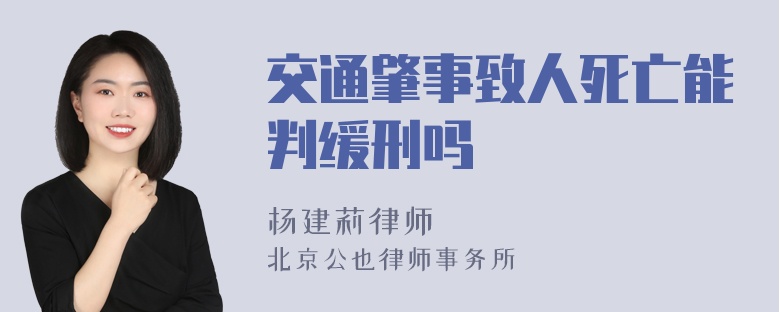 交通肇事致人死亡能判缓刑吗