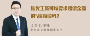 拖欠工资可以要求赔偿金额的5倍赔偿吗？