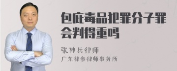 包庇毒品犯罪分子罪会判得重吗