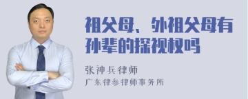 祖父母、外祖父母有孙辈的探视权吗