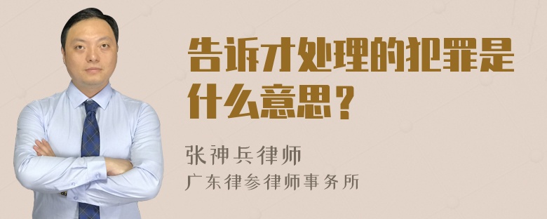 告诉才处理的犯罪是什么意思？