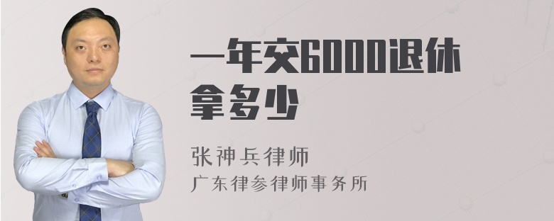 一年交6000退休拿多少