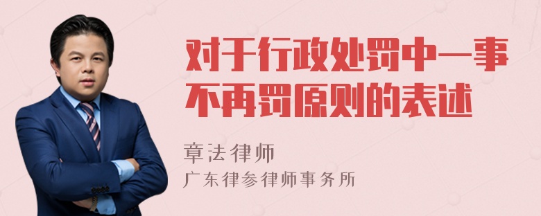 对于行政处罚中一事不再罚原则的表述