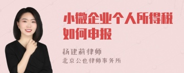 小微企业个人所得税如何申报