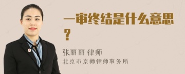 一审终结是什么意思？