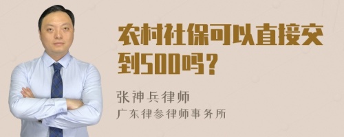 农村社保可以直接交到500吗？