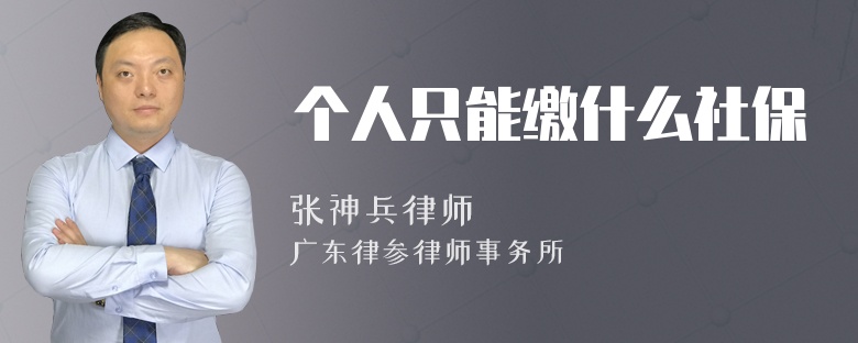 个人只能缴什么社保