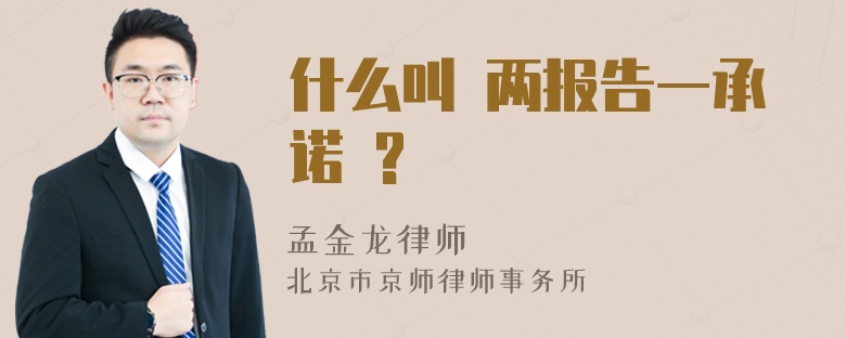 什么叫 两报告一承诺 ?