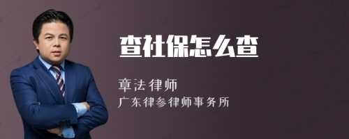 查社保怎么查