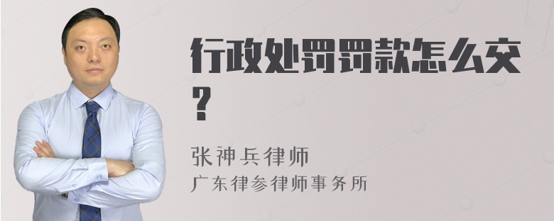 行政处罚罚款怎么交？