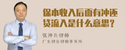 保本收入后面有冲还贷流入是什么意思？