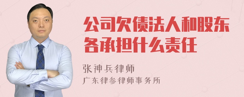 公司欠债法人和股东各承担什么责任