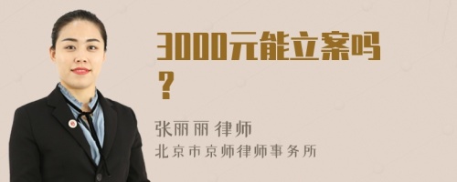 3000元能立案吗？