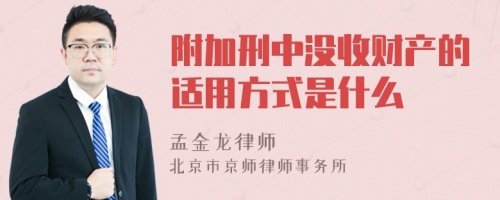 附加刑中没收财产的适用方式是什么