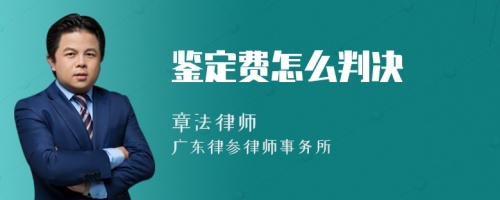 鉴定费怎么判决