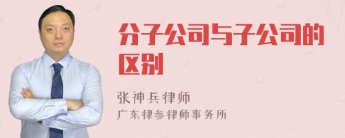 分子公司与子公司的区别