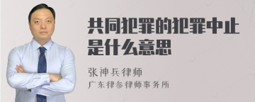 共同犯罪的犯罪中止是什么意思