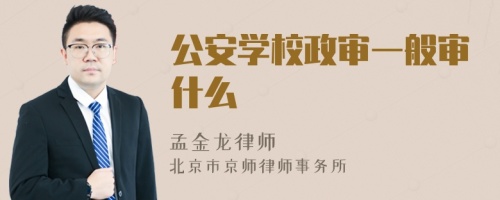 公安学校政审一般审什么