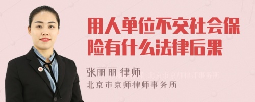 用人单位不交社会保险有什么法律后果