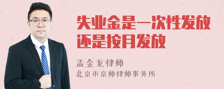 失业金是一次性发放还是按月发放