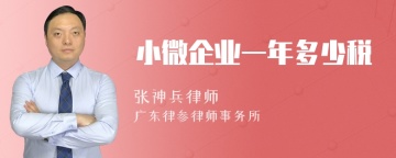 小微企业一年多少税