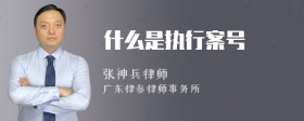 什么是执行案号