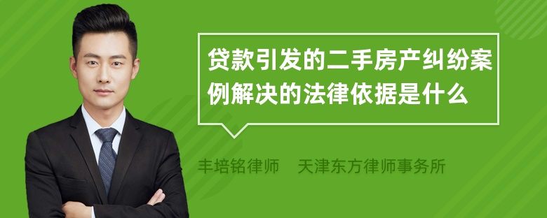 贷款引发的二手房产纠纷案例解决的法律依据是什么