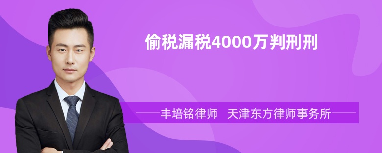 偷税漏税4000万判刑刑