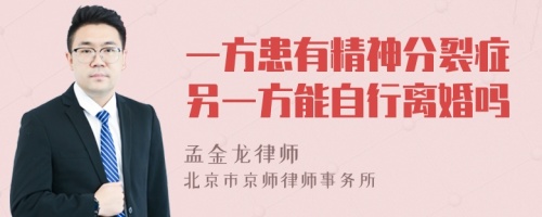 一方患有精神分裂症另一方能自行离婚吗