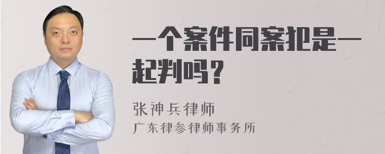 一个案件同案犯是一起判吗？