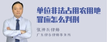 单位非法占用农用地罪应怎么判刑