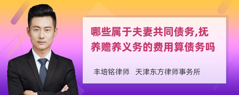 哪些属于夫妻共同债务,抚养赡养义务的费用算债务吗