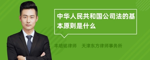 中华人民共和国公司法的基本原则是什么