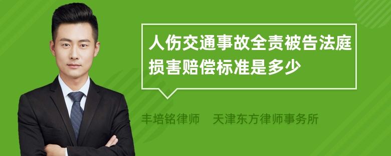 人伤交通事故全责被告法庭损害赔偿标准是多少