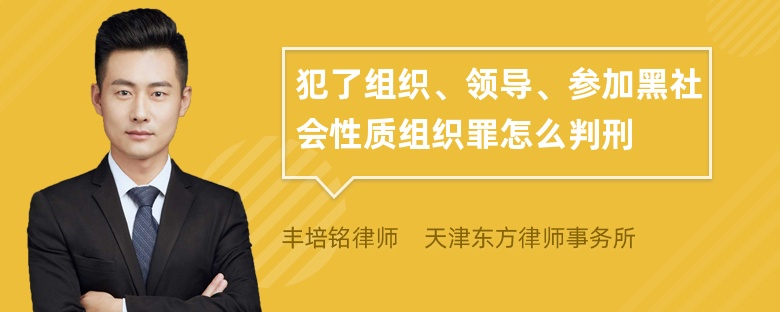 犯了组织、领导、参加黑社会性质组织罪怎么判刑