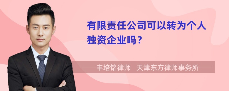 有限责任公司可以转为个人独资企业吗？