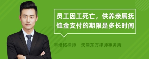 员工因工死亡，供养亲属抚恤金支付的期限是多长时间