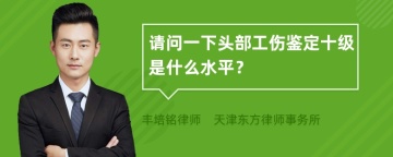 请问一下头部工伤鉴定十级是什么水平？