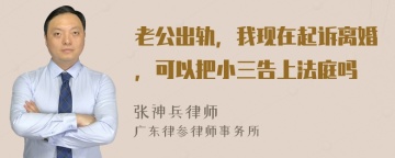 老公出轨，我现在起诉离婚，可以把小三告上法庭吗