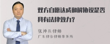 双方自愿达成和解协议是否具有法律效力？