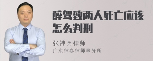 醉驾致两人死亡应该怎么判刑