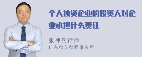 个人独资企业的投资人对企业承担什么责任