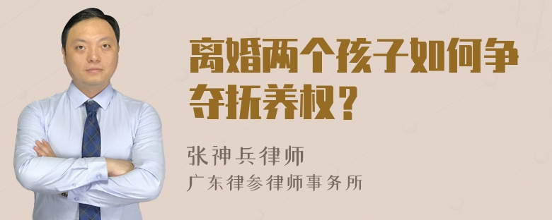 离婚两个孩子如何争夺抚养权？