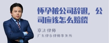 怀孕被公司辞退，公司应该怎么赔偿