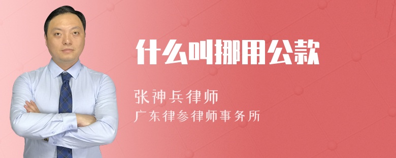 什么叫挪用公款