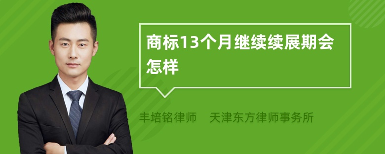 商标13个月继续续展期会怎样