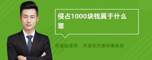 侵占1000块钱属于什么罪