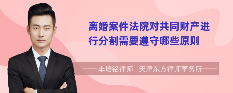 离婚案件法院对共同财产进行分割需要遵守哪些原则