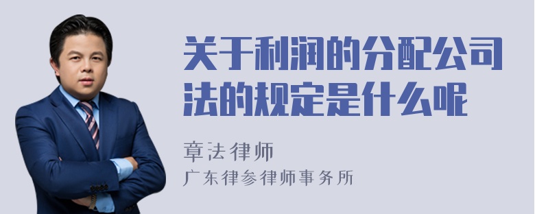 关于利润的分配公司法的规定是什么呢